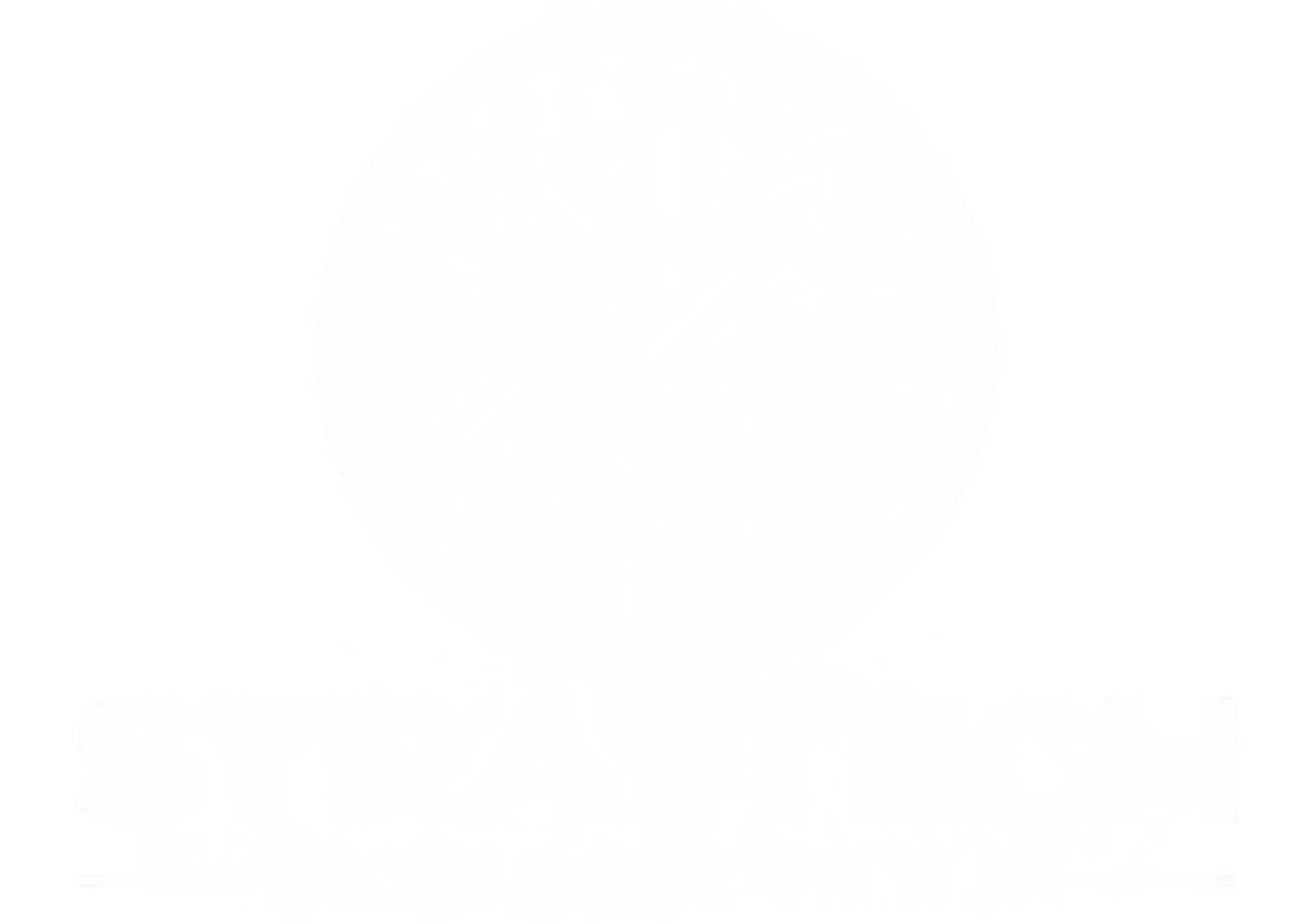 StratTech Consulting